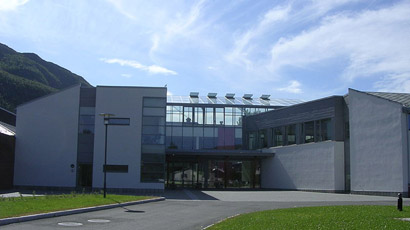 挪威内斯纳大学学院