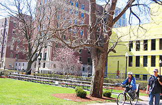 波士顿大学图片