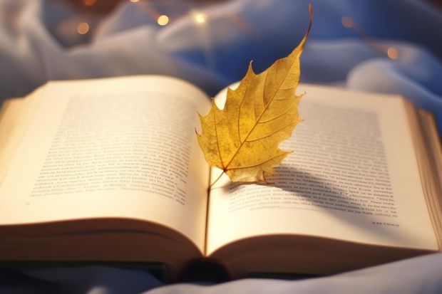 我要去日本留学,行李的限制重量是多少?