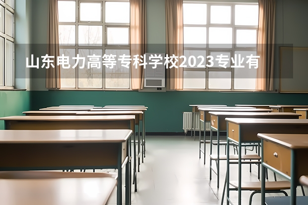 山东电力高等专科学校2023专业有哪些？