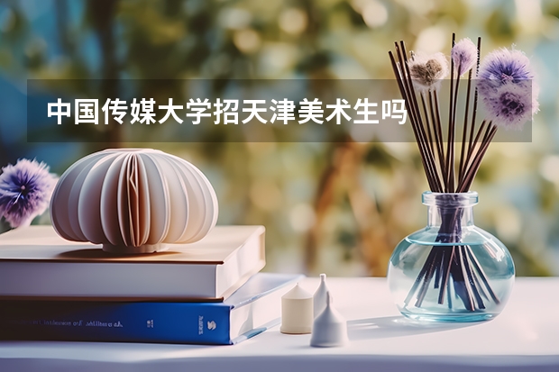 中国传媒大学招天津美术生吗