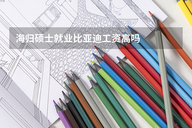 海归硕士就业比亚迪工资高吗
