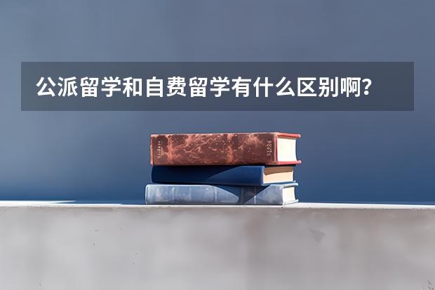 公派留学和自费留学有什么区别啊？