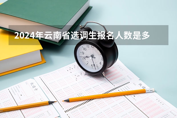 2024年云南省选调生报名人数是多少