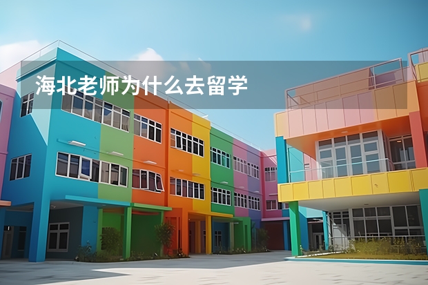 海北老师为什么去留学