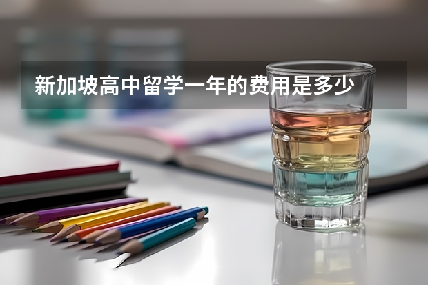 新加坡高中留学一年的费用是多少