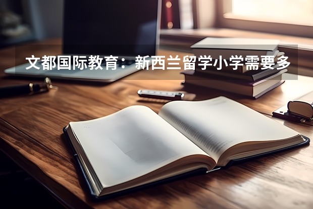 文都国际教育：新西兰留学小学需要多少费用