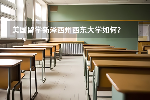 美国留学新泽西州西东大学如何?