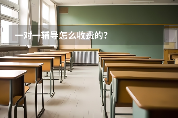 一对一辅导怎么收费的?