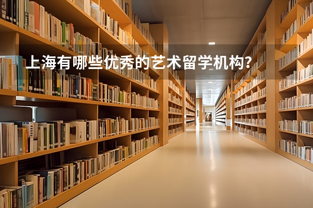 上海有哪些优秀的艺术留学机构？