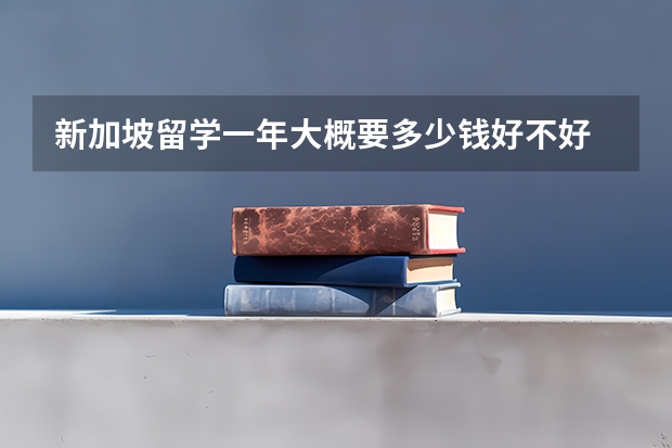 新加坡留学一年大概要多少钱好不好