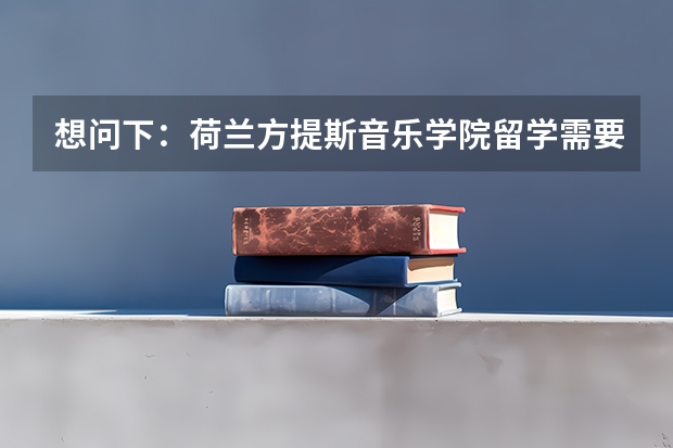 想问下：荷兰方提斯音乐学院留学需要多少费