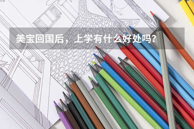 美宝回国后，上学有什么好处吗？