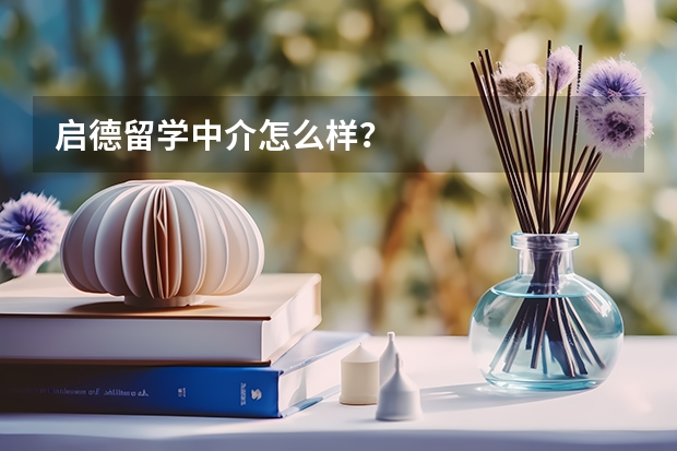 启德留学中介怎么样?