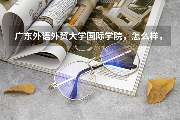 广东外语外贸大学国际学院,怎么样,今年的分数线是多少?