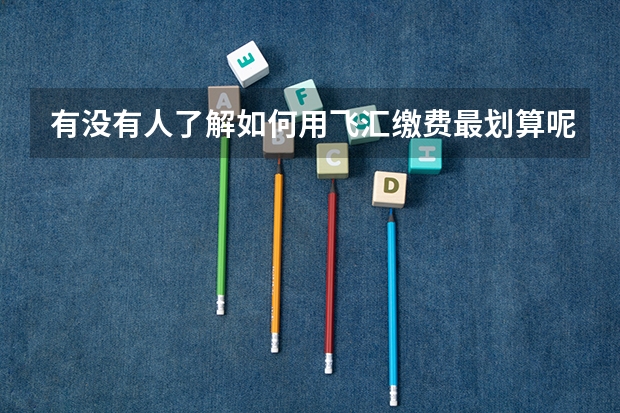 有没有人了解如何用飞汇缴费最划算呢?