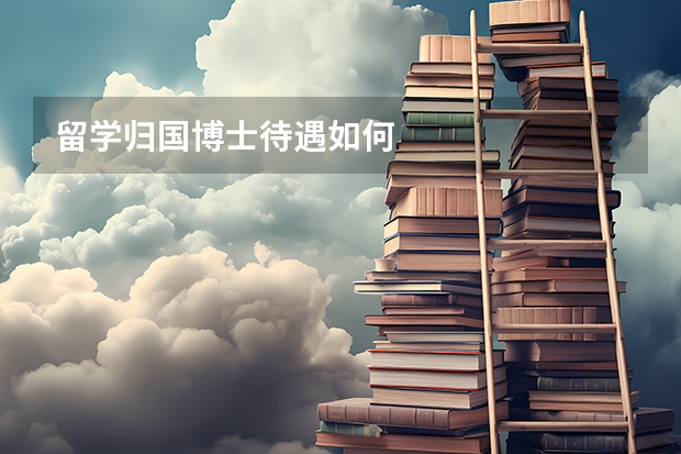 留学归国博士待遇如何