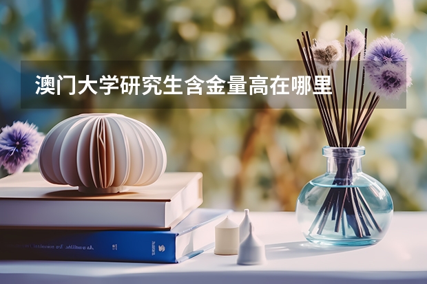 澳门大学研究生含金量高在哪里