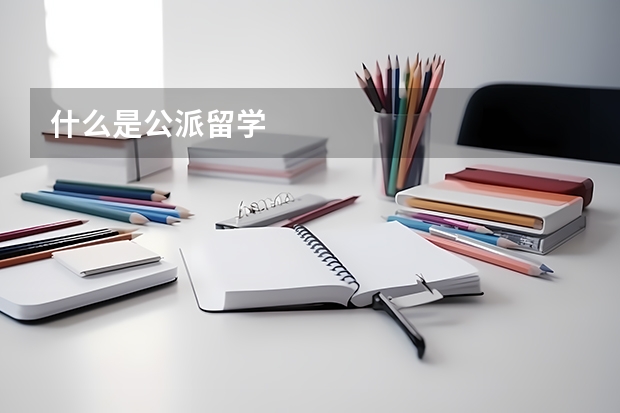 什么是公派留学