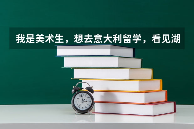 我是美术生，想去意大利留学，看见湖南商学院有这个项目，不知道有什么要求？