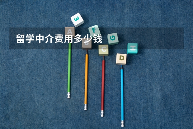 留学中介费用多少钱