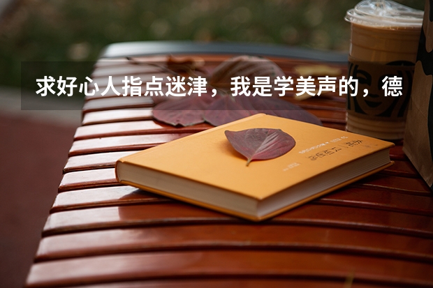 求好心人指点迷津,我是学美声的,德国意大利,奥地利,从消费和教学质量谁要好一点呢!