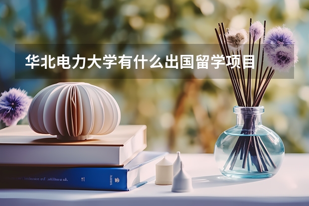 华北电力大学有什么出国留学项目