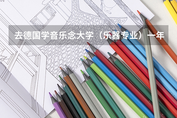 去德国学音乐念大学(乐器专业)一年学费加生活加一块大概费用多少啊 可以申请奖学金吗?