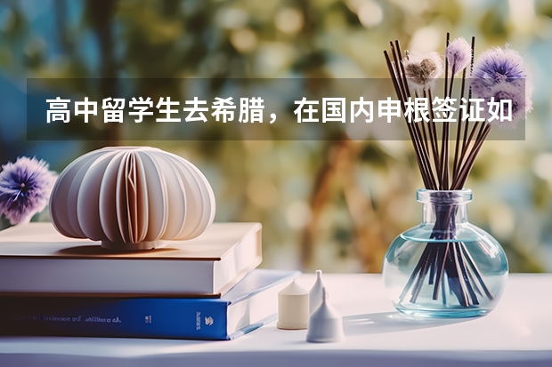 高中留学生去希腊，在国内申根签证如何提高在校证明
