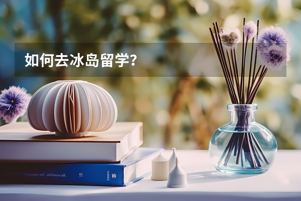 如何去冰岛留学？