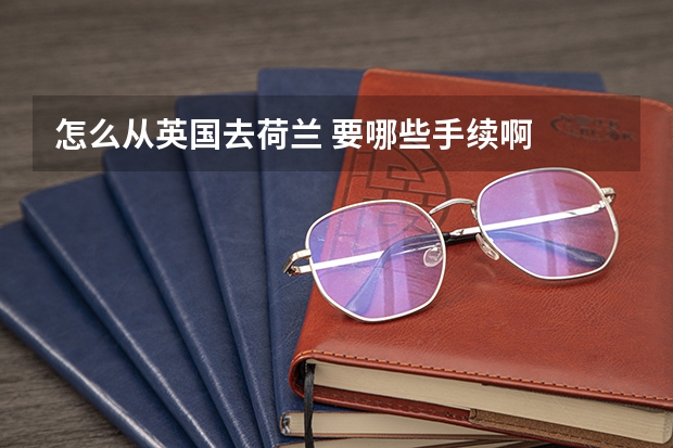 怎么从英国去荷兰 要哪些手续啊