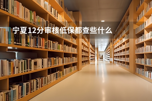 宁夏.12分审核低保都查些什么