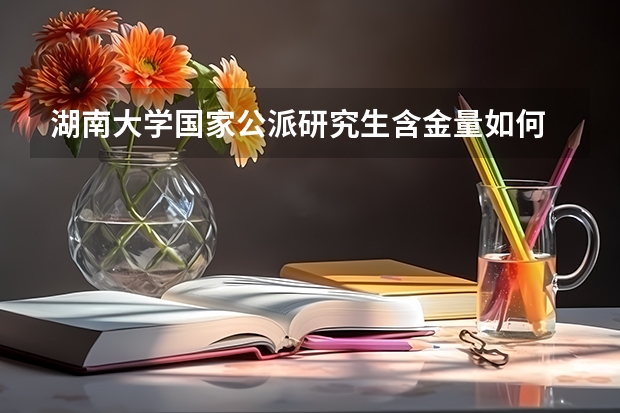 湖南大学国家公派研究生含金量如何