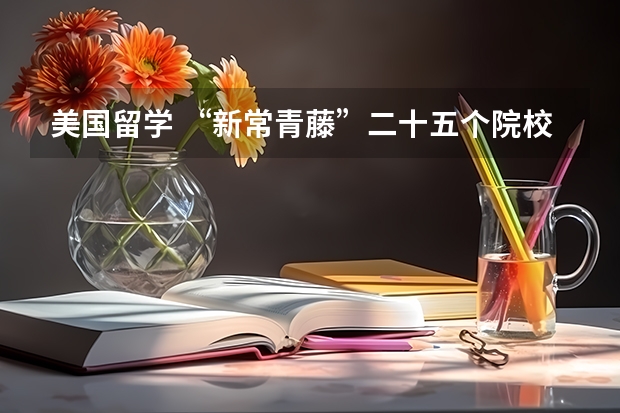 美国留学 “新常青藤”二十五个院校详解(美国留学:解析常青藤盟校)