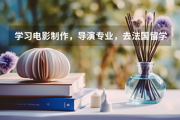 学习电影制作，导演专业，去法国留学好，还是英国留学（美国艺术留学南加州大学的电影专业）