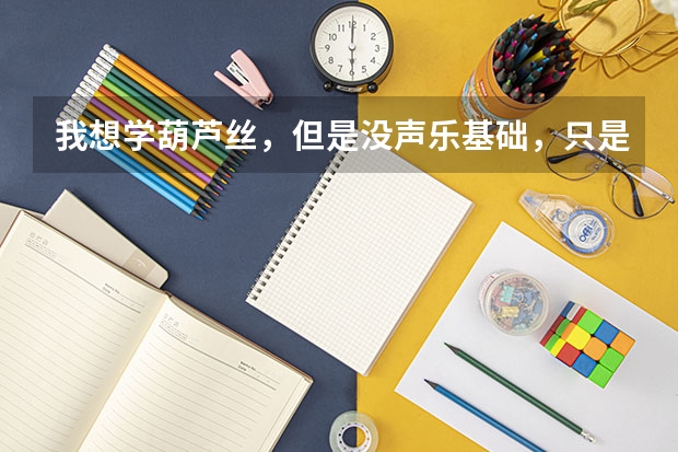 我想学葫芦丝，但是没声乐基础，只是爱好而已，想知道在汉阳那有培训。自学也可以，好学吗