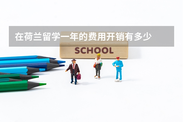 在荷兰留学一年的费用开销有多少