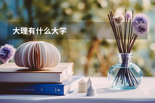 大理有什么大学