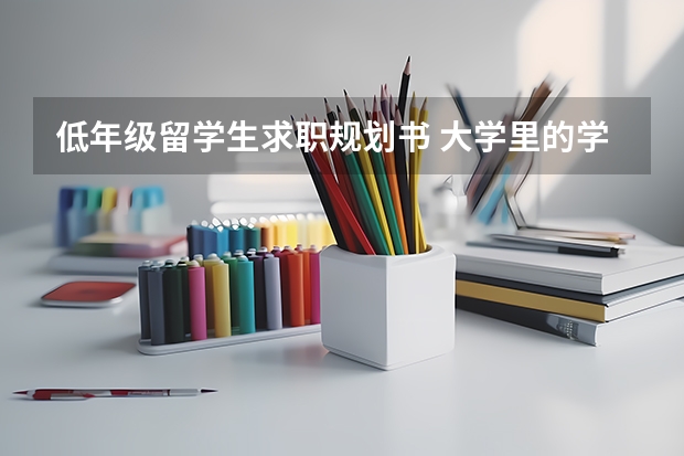 低年级留学生求职规划书 大学里的学生应该怎样学习?